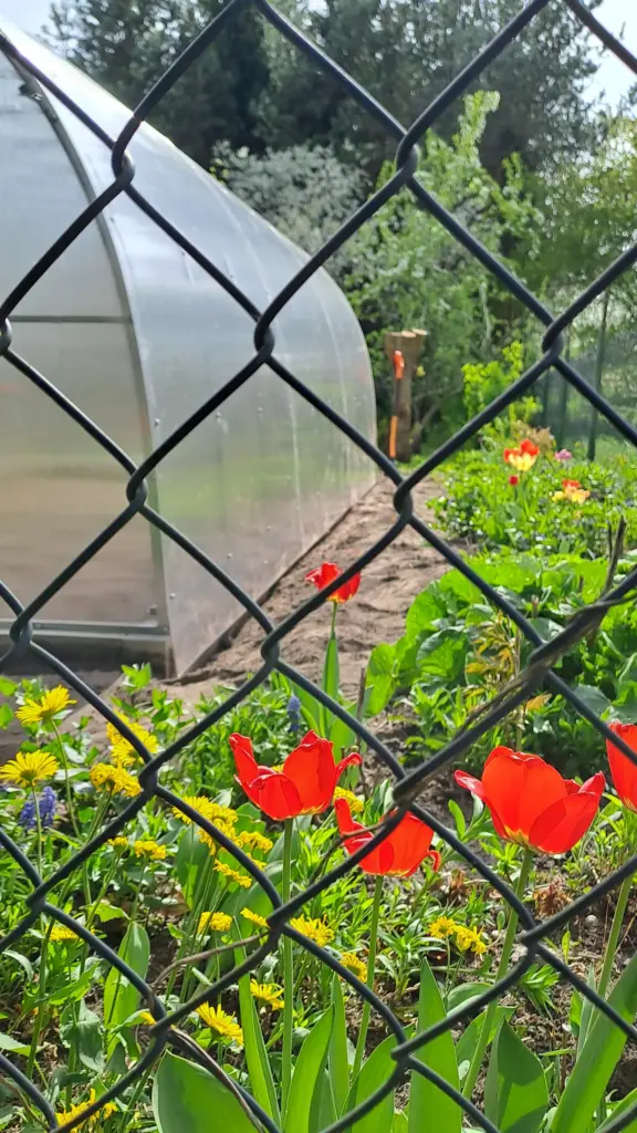 Szklarnia ogrodowa z poliwęglanu Wizna - Antiga