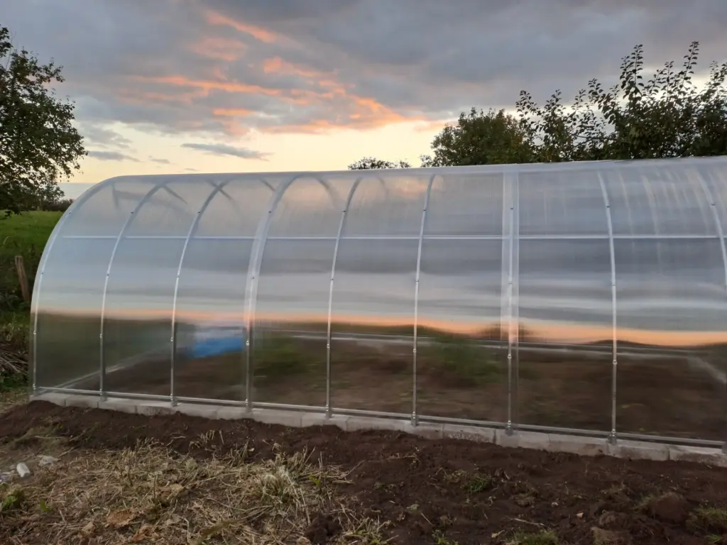 Montaż szklarni Wizna - Antiga