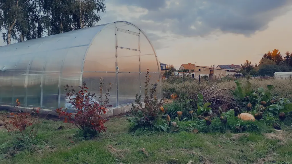 Szklarnia z poliwęglanu Mońki - producent Antiga